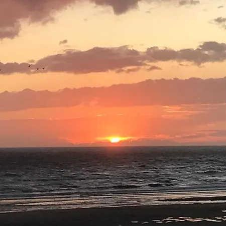 Les Balcons Rouges - Face 公寓 卡米尔斯